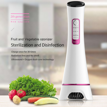 10W Ozone Ultrasonic Vegetable And Fruit Washer For Home Use