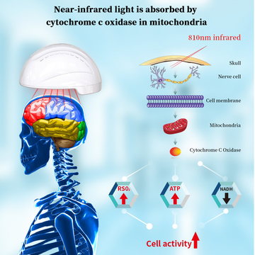 810nm Infrared LED Light Photobiomodulation Helmet For Alzheimer